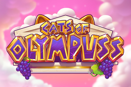 Cats of Olympuss