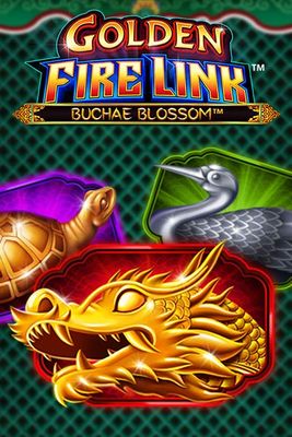 Golden Fire Link Buchae Blossom